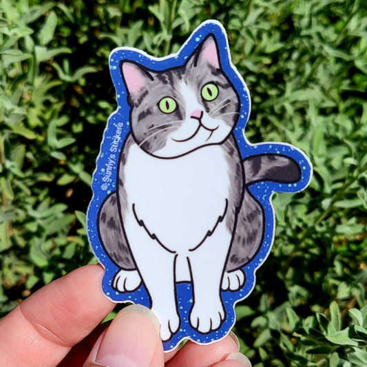 Gray Tabby