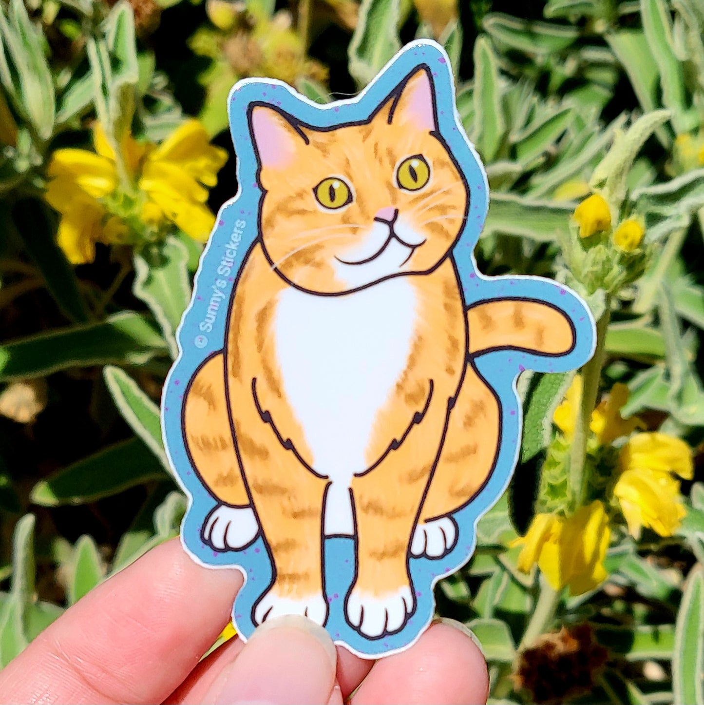 Orange Tabby