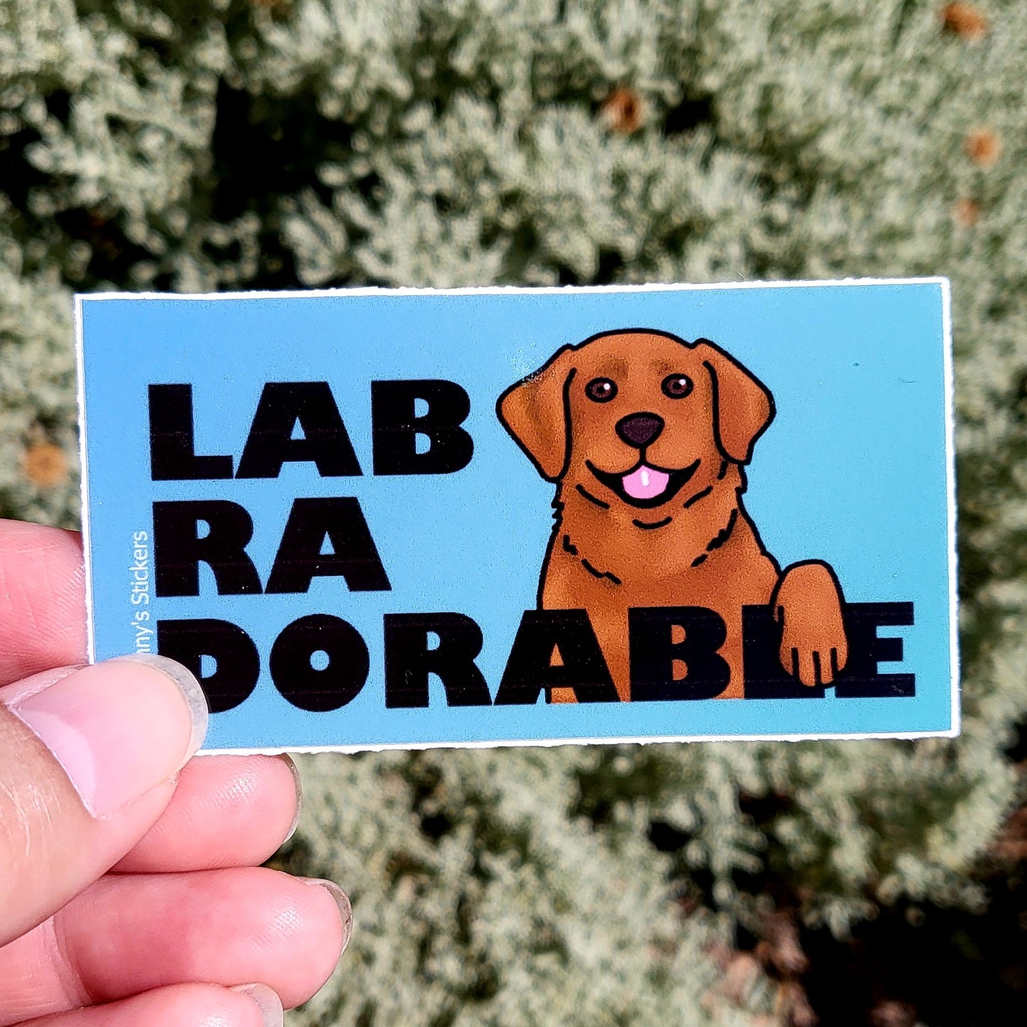 Labradorable Chocolate