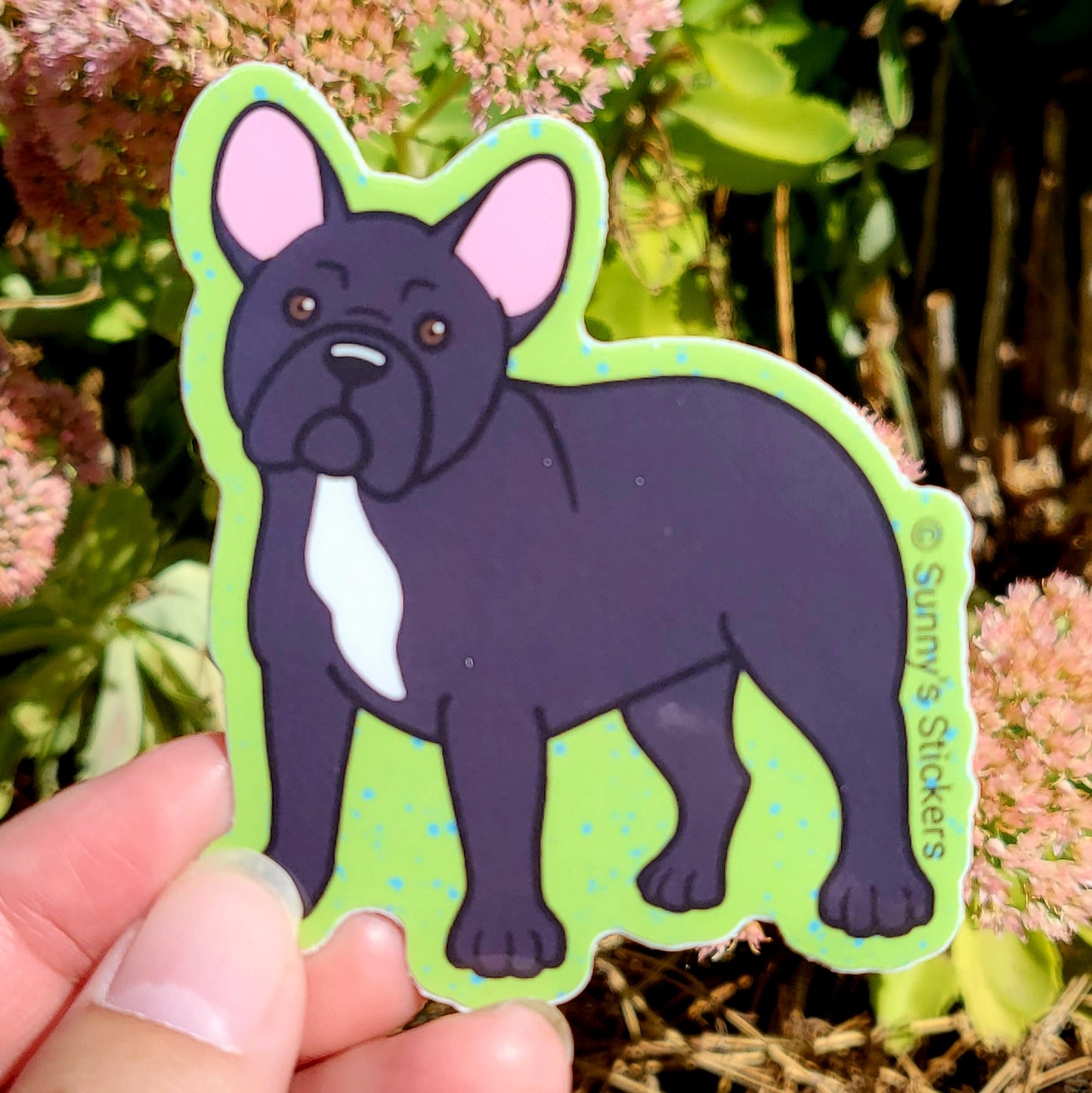 French Bulldog Black
