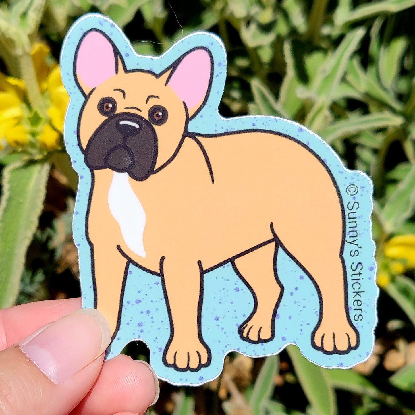 French Bulldog Fawn