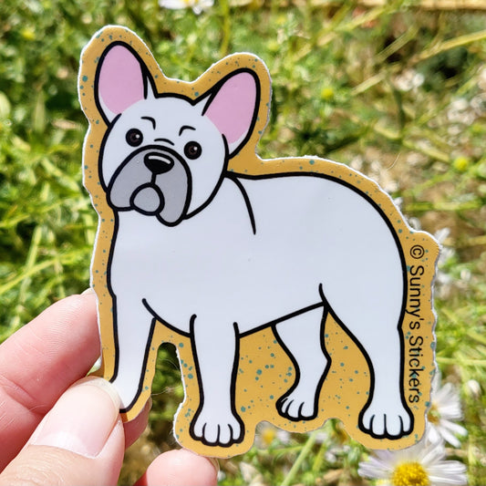 French Bulldog White