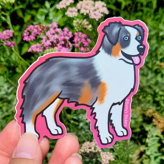 Australian Shepherd
