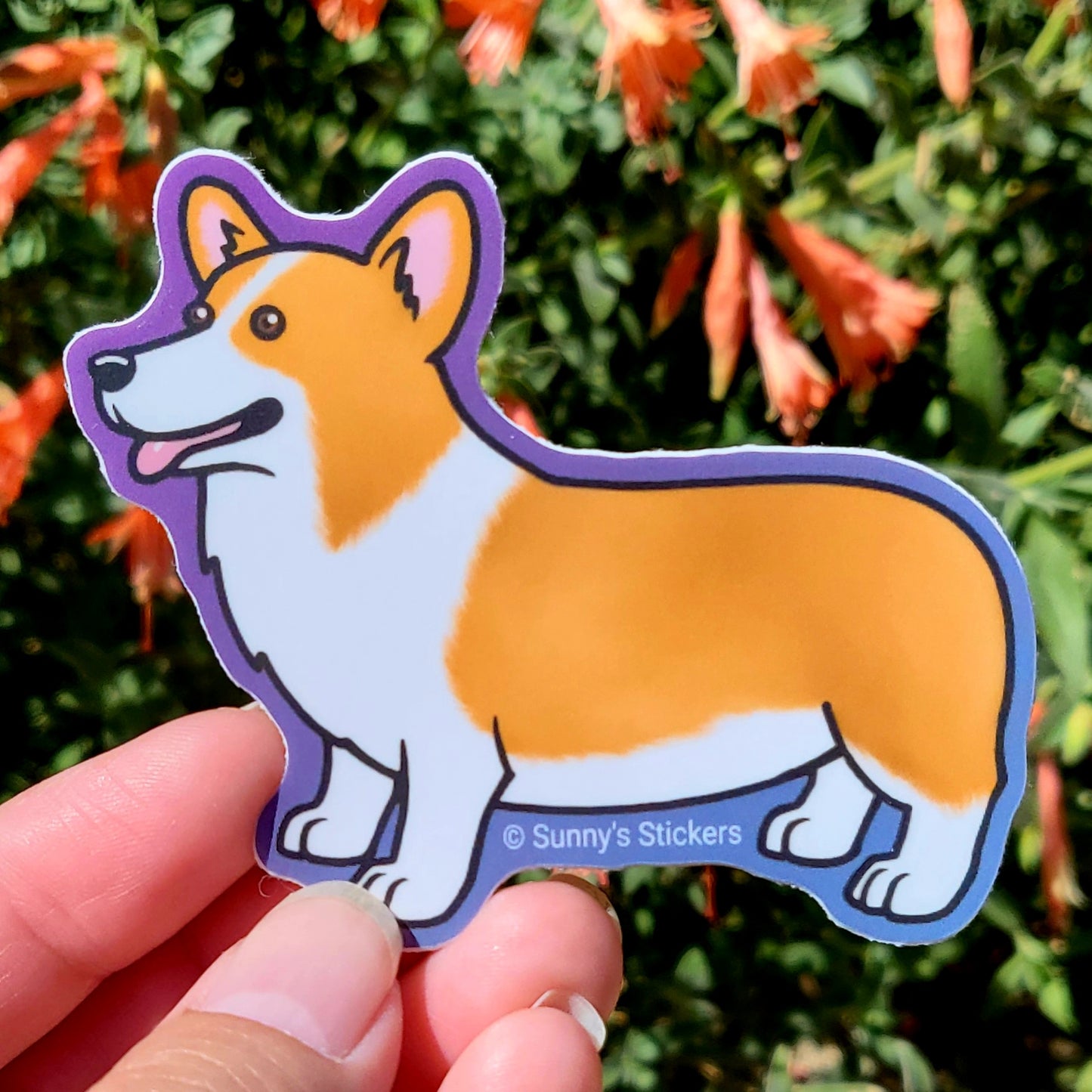 Corgi Pembroke Red