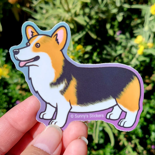 Corgi Pembroke Tricolor