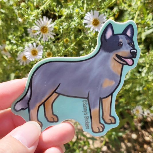 Australian Cattle Dog