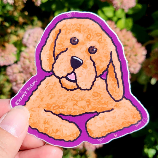 Golden Doodle