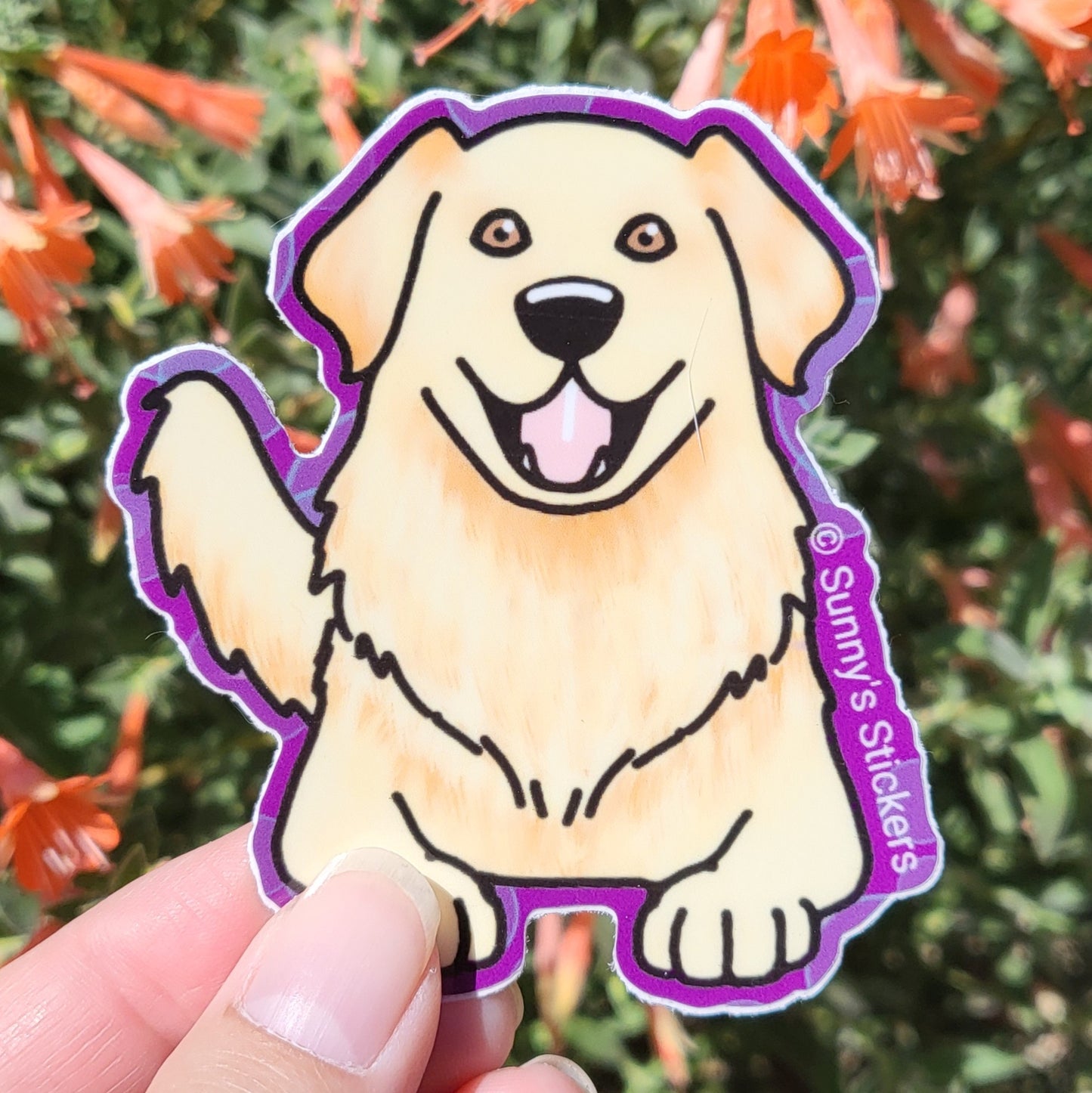 Golden Retriever