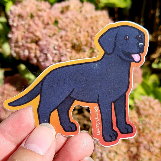 Labrador Retriever Black