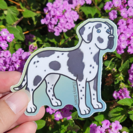 Great Dane Floppy Ear Spotted