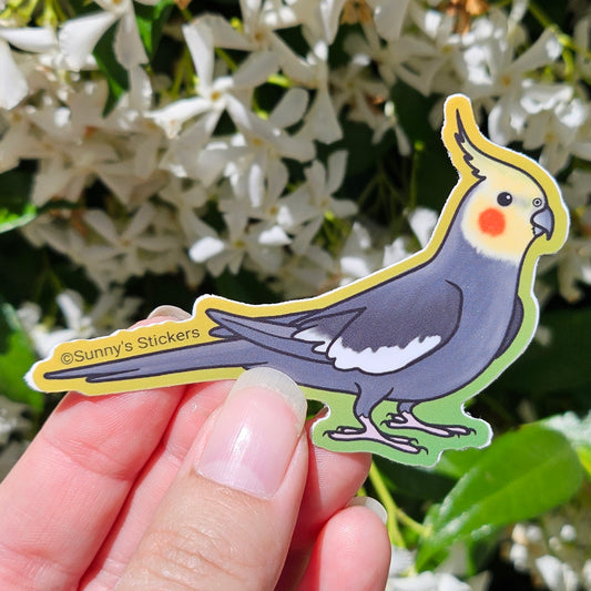 Gray Cockatiel Sticker