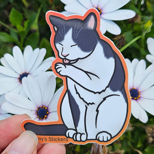 Licking Paw B&W Cat