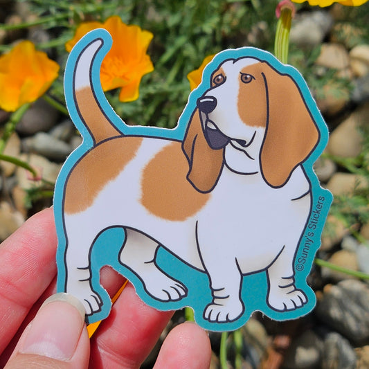 Basset Hound Tan White
